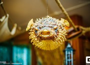 2949_carousel