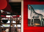 8c68_carousel